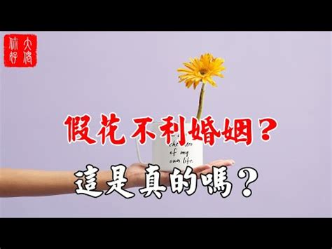 家裡放假花|2024年假花擺放指南